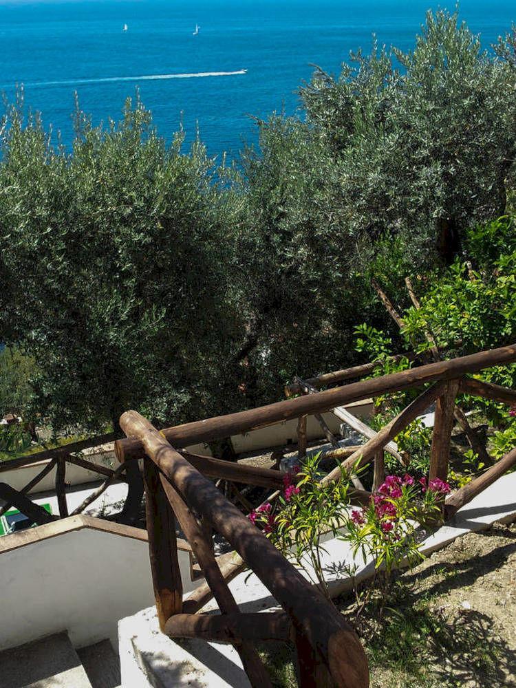 Villa Dafne Sorrento Massa Lubrense Esterno foto